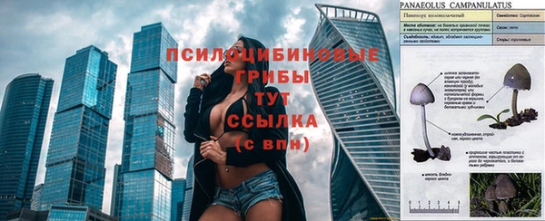 молекула духа Верея
