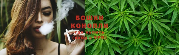 прущие грибы Верхний Тагил