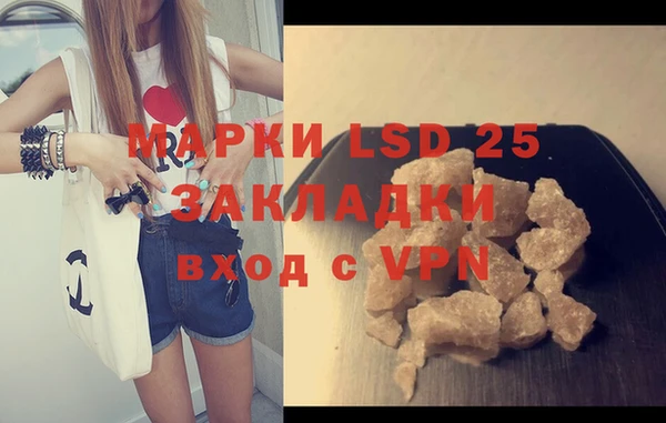прущие грибы Верхний Тагил