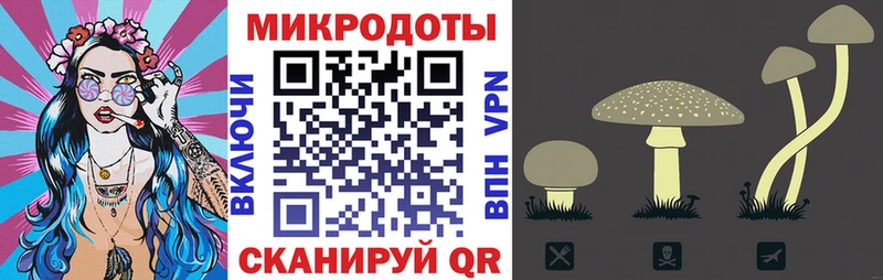купить   Ярославль  Псилоцибиновые грибы мухоморы 